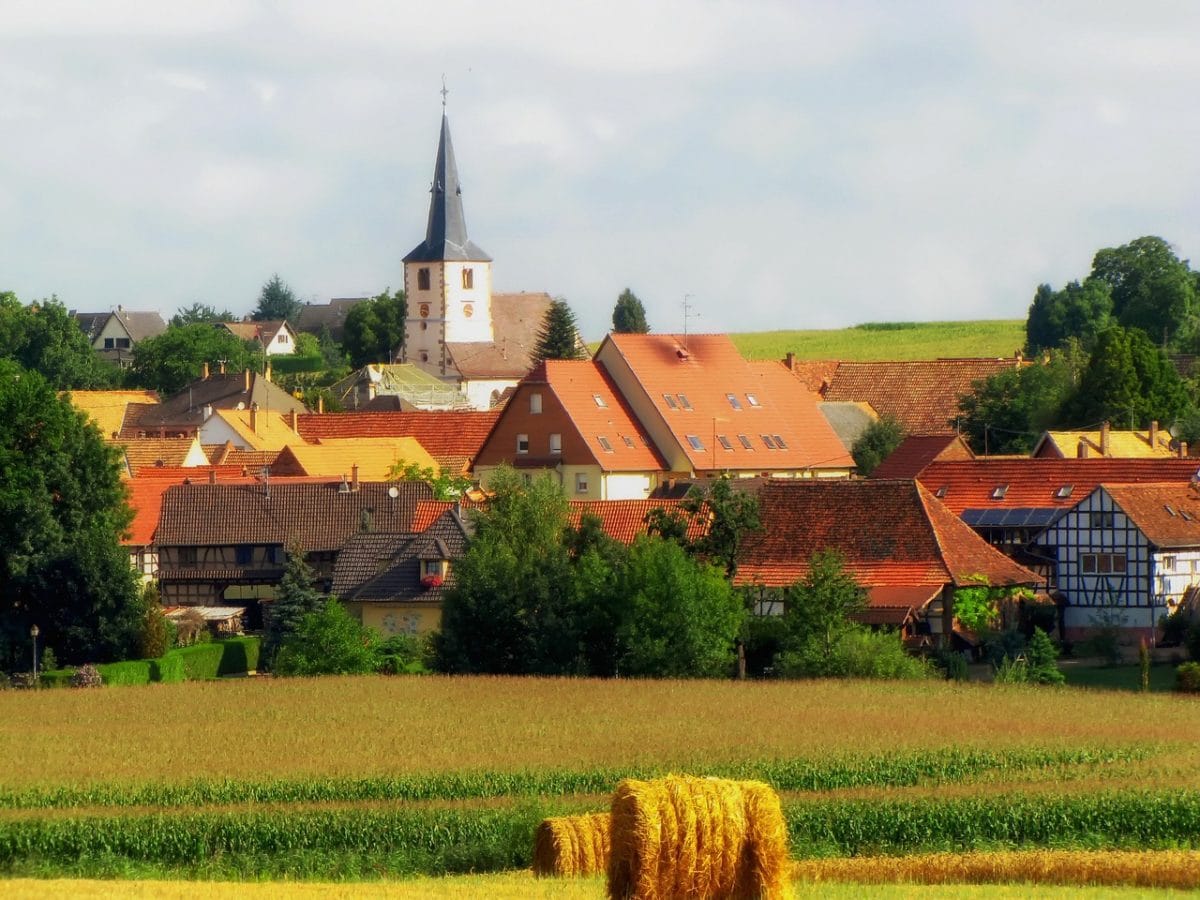 Tout Plaquer Pour Entreprendre A La Campagne Conseils Pour Reussir