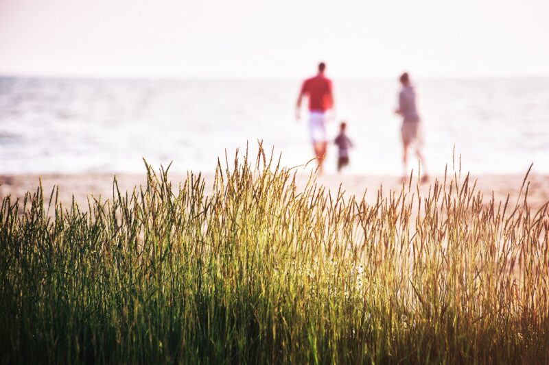 Les Meilleures Citations Sur Les Vacances Et Les Conges